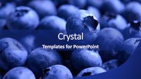  Presentation with blueberries - Theme enhanced with background full of fresh ripe sweet blueberries summer berries harvesting concept background and a navy blue colored foreground