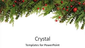  Presentation with berries - Colorful PPT theme enhanced with background green branches with red backdrop and a white colored foreground