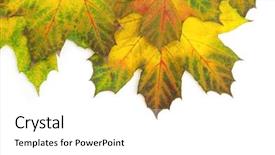  Presentation with autumn leaves - PPT theme consisting of online student integration system - virtual learning environment businessman drawing background and a sky blue colored foreground.