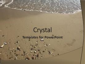 Background Image Of Starfish PPT template 30 | CrystalGraphics