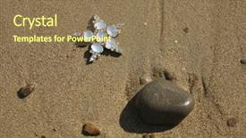  Presentation with starfish - Amazing presentation theme having background image of starfish on the sand backdrop and a coral colored foreground