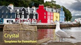  Presentation with seagull - PPT theme consisting of background isle of mull scotland background and a tawny brown colored foreground
