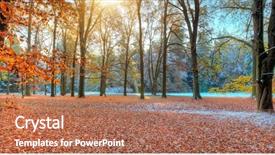  Presentation with beautiful nature - Slides featuring background late autumn and early background and a coral colored foreground