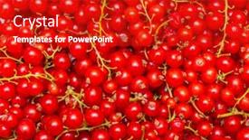  Presentation with currant - Amazing slide set having background-made-of-red-currant backdrop and a crimson colored foreground