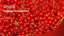  Presentation with currant - Cool new slide set with background-made-of-red-currant backdrop and a crimson colored foreground
