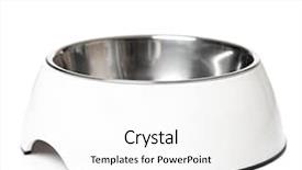  Presentation with cat dog - Cool new slide deck with background metal cat or dog backdrop and a white colored foreground