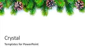  Presentation with christmas lights - Colorful PPT theme enhanced with background new year holiday evergreen backdrop and a white colored foreground