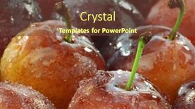  Presentation with bunch - 