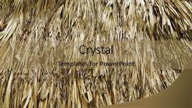  Presentation with house roof and roofing business - PPT layouts with background of a straw roof background and a coral colored foreground