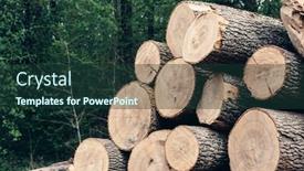  Presentation with wooden - PPT theme having background-of-a-wooden-stump background and a tawny brown colored foreground