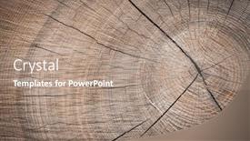  Presentation with wooden - Presentation design consisting of background-of-a-wooden-stump background and a coral colored foreground