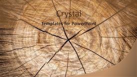  Presentation with wooden - Amazing presentation theme having background-of-a-wooden-stump backdrop and a coral colored foreground
