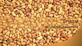  Presentation with seeds - Presentation theme featuring background of alfalfa organic sprouting background and a gold colored foreground