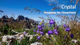  Presentation with card holiday flowers abstract - Audience pleasing presentation theme consisting of background of alpine flowers bluebell backdrop and a  colored foreground