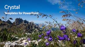  Presentation with card holiday flowers abstract - Colorful presentation theme enhanced with background of alpine flowers bluebell backdrop and a  colored foreground