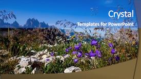 Presentation with beautiful nature - PPT theme having background of alpine flowers bluebell background and a teal colored foreground