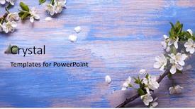  Presentation with spring - Theme featuring background of an old vintage background and a light blue colored foreground