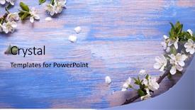  Presentation with spring flowers on textured - PPT theme consisting of background of an old vintage background and a light blue colored foreground