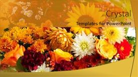  Presentation with festive - Cool new presentation with background-of-assorted-autumn-flowers backdrop and a gold colored foreground