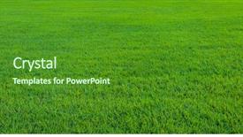  Presentation with beautiful green - Theme having background of beautiful green grass background and a forest green colored foreground