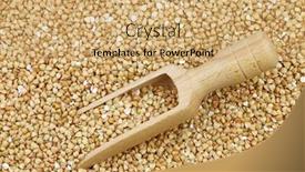  Presentation with grown - Amazing presentation design having background of biologically grown organic buckwheat with a wooden scoop backdrop and a coral colored foreground