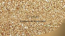  Presentation with grown - PPT layouts having background of biologically grown organic buckwheat background and a coral colored foreground