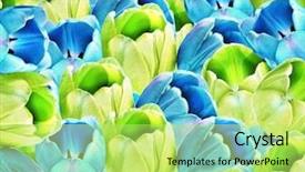  Presentation with tulips - Cool new presentation theme with background of blue and green backdrop and a yellow colored foreground