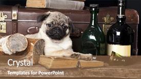  Presentation with bottles - Slide set featuring background of bottles of liquor background and a coral colored foreground