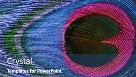  Presentation with peacock feather - Cool new PPT theme with background of bright peacock feather backdrop and a ocean colored foreground