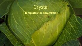  Presentation with green leaves - Slide set consisting of background-of-cabbage-leaves-green background and a  colored foreground