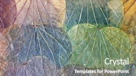  Presentation with dry - Colorful slide set enhanced with background of colorful dried leaves backdrop and a gray colored foreground