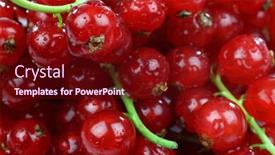  Presentation with currant - Amazing slide deck having background of colorful red currant backdrop and a wine colored foreground