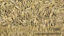  Presentation with seeds - Presentation theme consisting of background of dried fennel seeds background and a yellow colored foreground