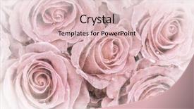  Presentation with faded - Slide deck with background of faded roses vintage background and a lemonade colored foreground
