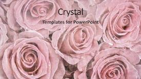  Presentation with faded - Colorful PPT theme enhanced with background of faded roses vintage backdrop and a soft green colored foreground