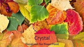  Presentation with fall leaves border autumn - Theme having background of fallen autumn leaves background and a gold colored foreground