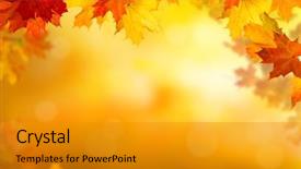  Presentation with falling leaves - Colorful PPT layouts enhanced with background of falling autumn leaves backdrop and a gold colored foreground