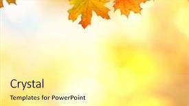  Presentation with autumn leaves falling - Slides featuring background of falling autumn leaves background and a  colored foreground