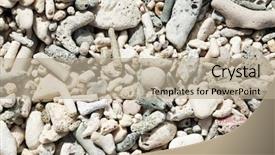  Presentation with fossil - Theme enhanced with background of fossil corrals caribbean background and a  colored foreground