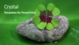  Presentation with four leaf clover - Beautiful PPT theme featuring background of four-leaf clover backdrop and a forest green colored foreground