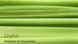  Presentation with celery - 