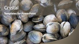  Presentation with clams - Colorful theme enhanced with background of fresh clams backdrop and a gray colored foreground