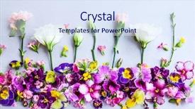  Presentation with flowers - PPT theme with background of fresh multicolored flowers background and a sky blue colored foreground