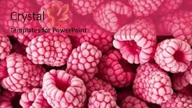  Presentation with frozen - Colorful PPT theme enhanced with background of frozen raspberries ripe backdrop and a red colored foreground