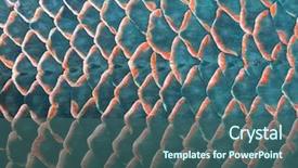  Presentation with fish - Presentation design featuring background of giant fish scale background and a ocean colored foreground