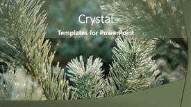  Presentation with spruce - Presentation theme enhanced with background-of-green-spruce-branches background and a gray colored foreground
