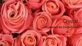  Presentation with light roses - Slide deck enhanced with background of many bright light background and a red colored foreground