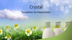  Presentation with cow milk - Slides with background of meadows and field background and a light blue colored foreground