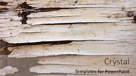  Presentation with wall - Presentation theme having background-of-old-wall background and a mint green colored foreground