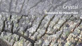  Presentation with wood log - 